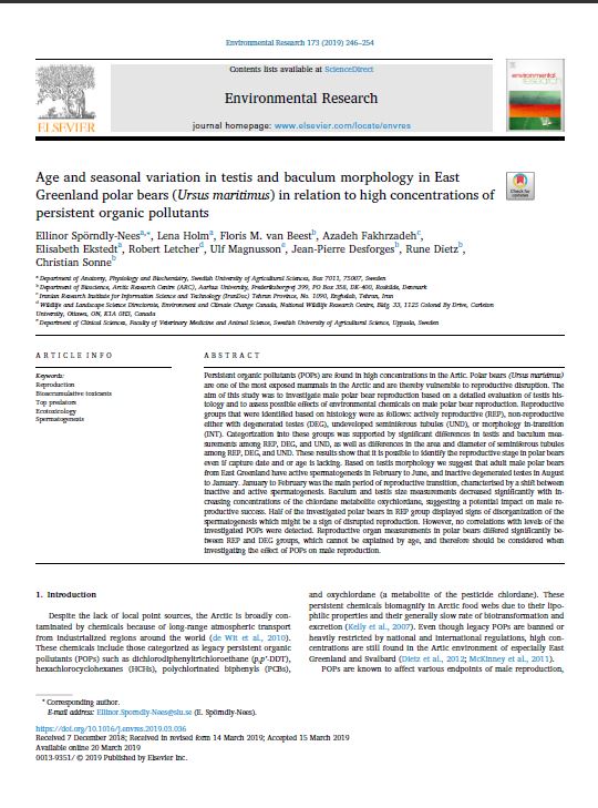 Age and seasonal variation in testis and baculum morphology in East Greenland polar bears (Ursus maritimus) in relation to high concentrations of persistent organic pollutants