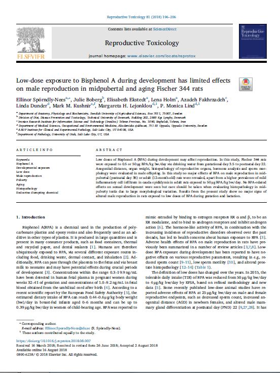 Low-dose exposure to Bisphenol A during development has limited effects on male reproduction in midpubertal and aging Fischer 344 rats
