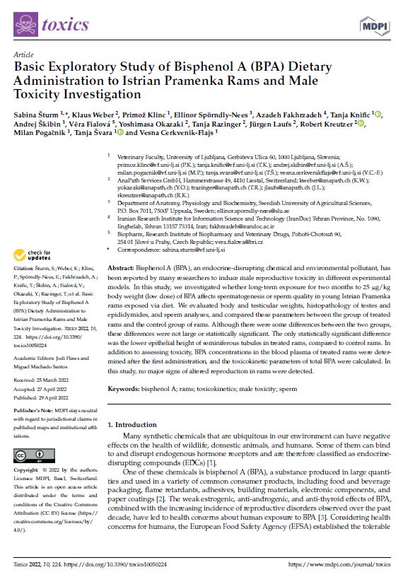 Basic Exploratory Study of Bisphenol A (BPA) Dietary Administration to Istrian Pramenka Rams and Male Toxicity Investigation