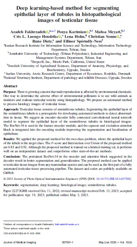 Deep learning-based method for segmenting epithelial layer of tubules in histopathological images of testicular tissue