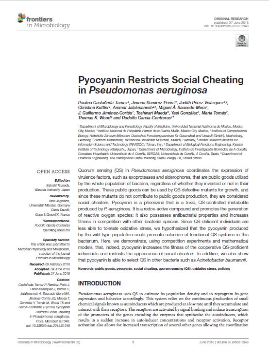 Pyocyanin Restricts Social Cheating in Pseudomonas aeruginosa