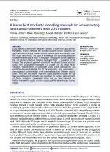 A hierarchical stochastic modelling approach for reconstructing lung tumour geometry from 2D CT images