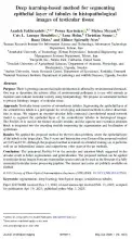 Deep learning-based method for segmenting epithelial layer of tubules in histopathological images of testicular tissue