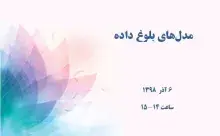 مدل‌های بلوغ داده