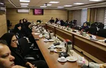 عضو هیئت‌علمی ایرانداک در نشست ابهام واژگانی در زبان فارسی سخنرانی کرد