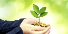 دستیابی ایرانداک به بیشتر شاخص‌های برنامه تجاری‌سازی در سال 1400